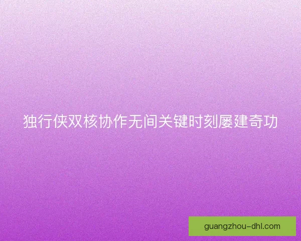 独行侠双核协作无间关键时刻屡建奇功